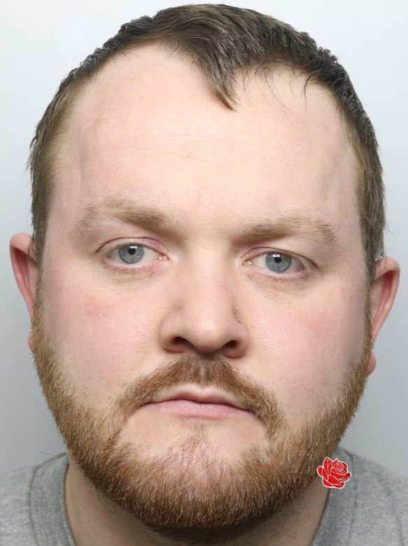 Anthony McDonald – profile image