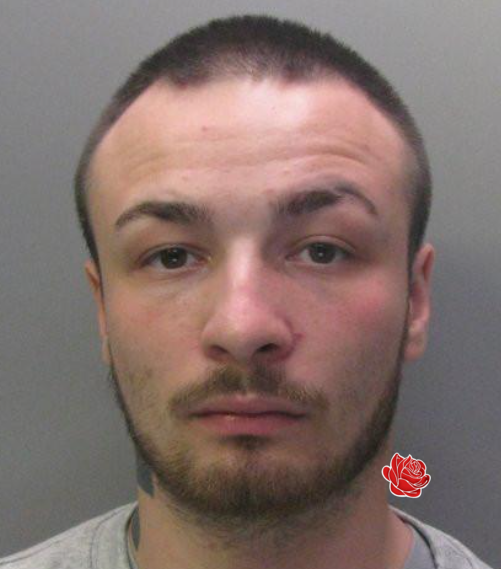 Jordan Fowler – profile image