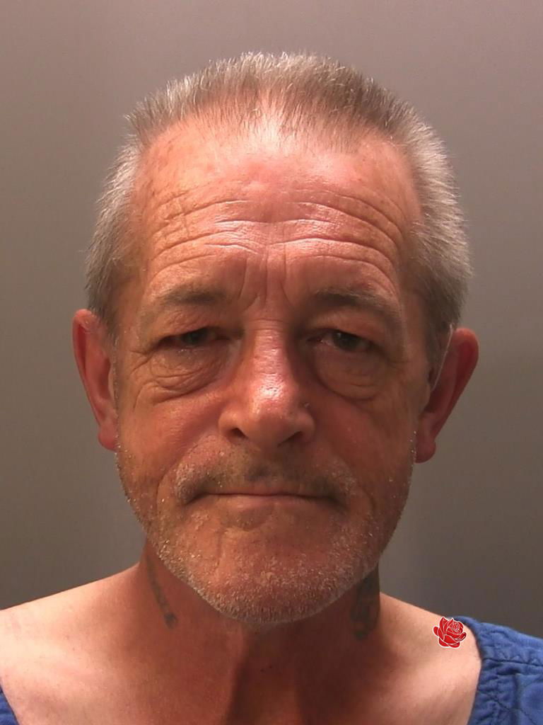 Stephen Wilson – profile image