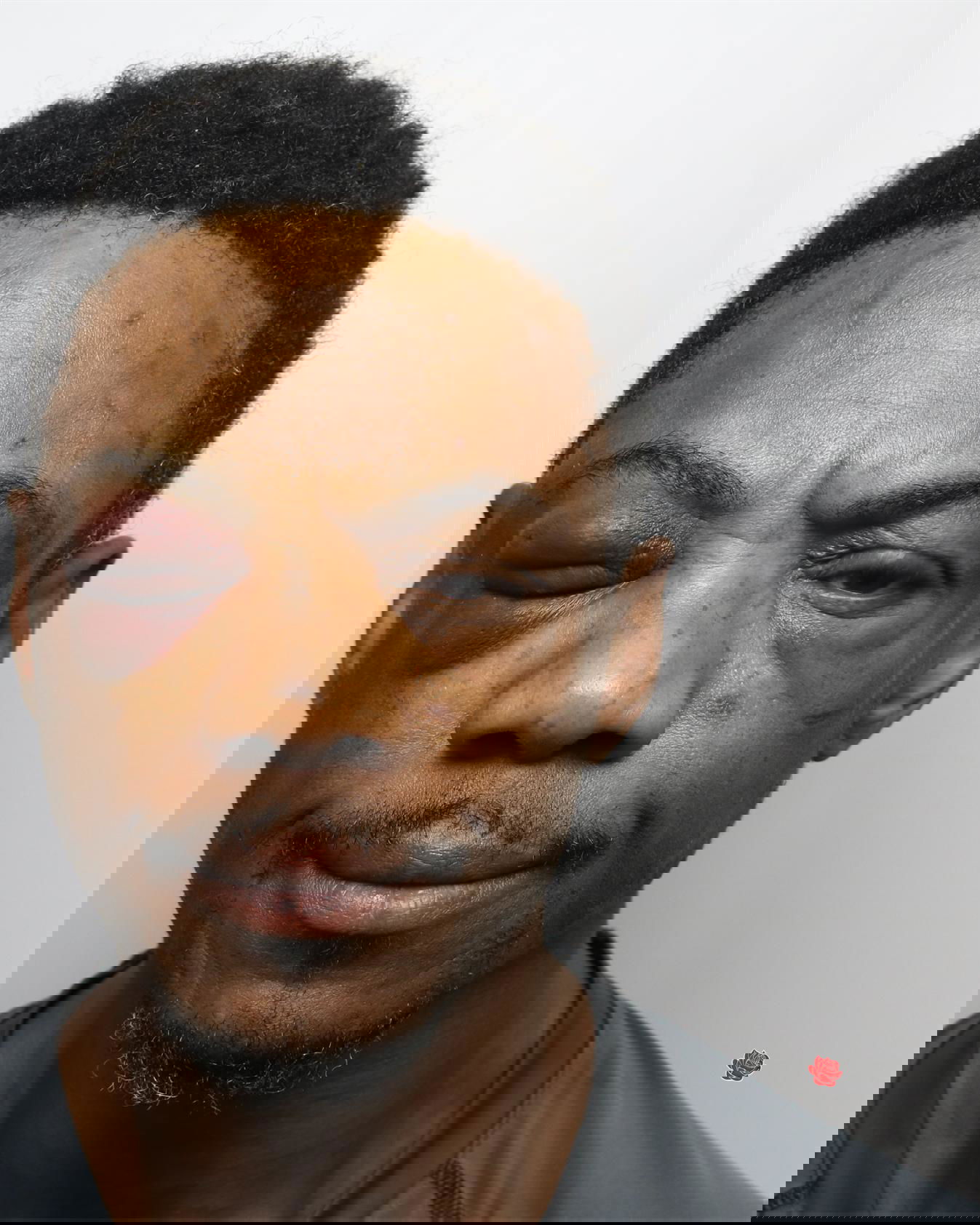 Craig Harris – profile image