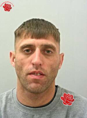 Curtis Pearce – profile image