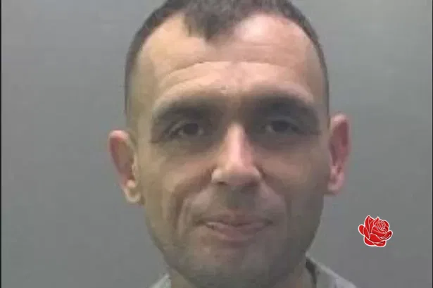 Wayne Garner – profile image