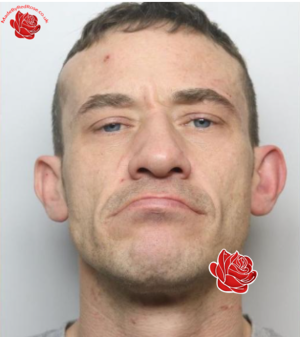 Gavin Thorpe – profile image