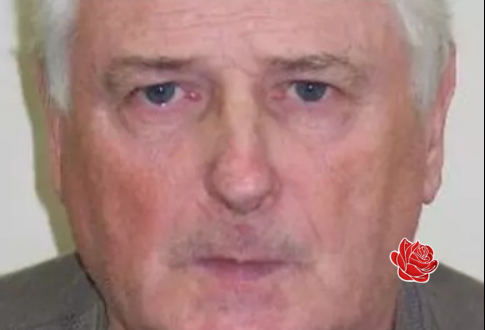Peter Watson – profile image