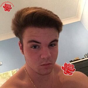 Matthew Connelly – profile image
