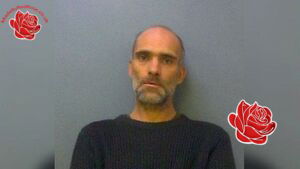 Martin Clifford – profile image