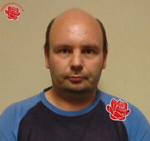 Neil Ireland – profile image