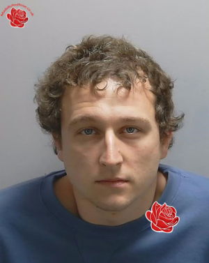 Alfie Morel – profile image