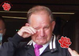 Peter Phillips-Jones – profile image