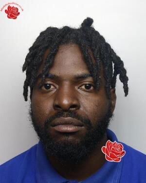 Andrew Custos – profile image