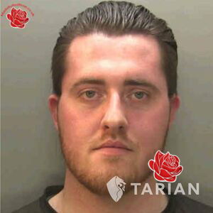 Declan Hatton – profile image