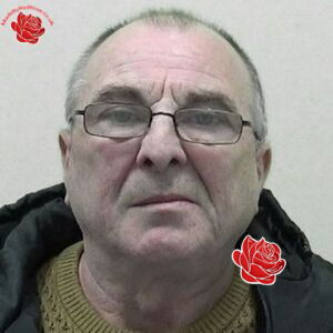 William Dolan – profile image