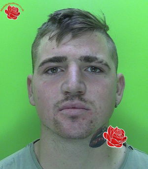 Constantin Covaliu – profile image