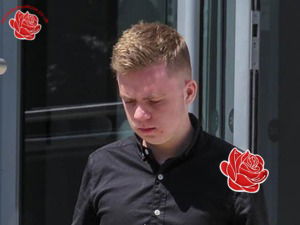 Daniel Crowley – profile image