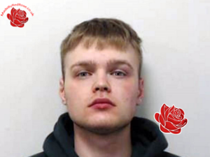 Lewis MacLeod – profile image