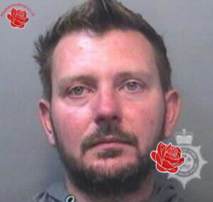 Karl Walsh – profile image