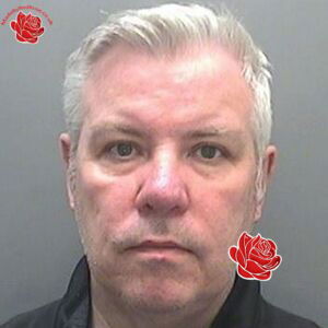 Stephen McGoldrick – profile image
