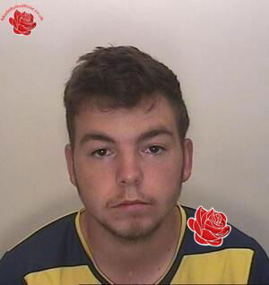 William Tollan-Townsend – profile image