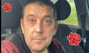 Paul Wilson – profile image