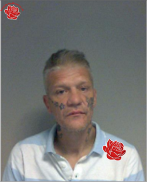 John Anthony Searle – profile image