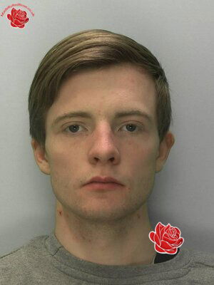 Lewis Trenchard – profile image