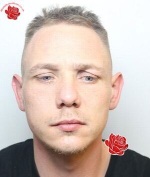 Nicholas John Wells – profile image
