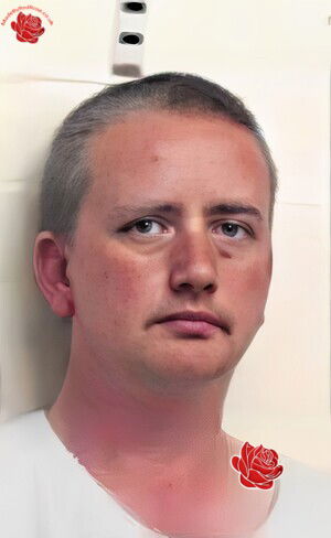 Andrew Brannan – profile image