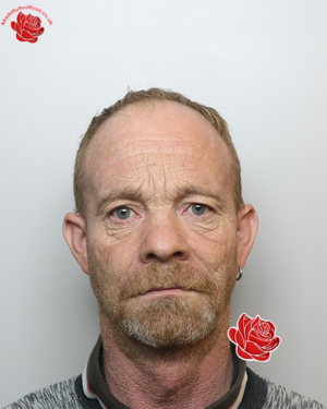 Terry Newman – profile image