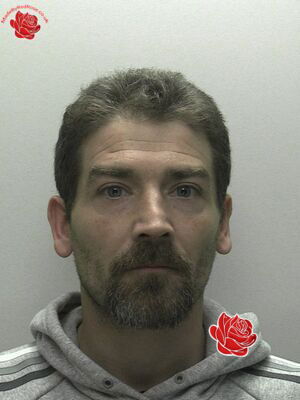 Peter Turner – profile image