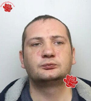 Stuart Marchmont – profile image