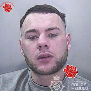 Jake Shead – profile image
