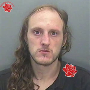 Mark Stevenson – profile image