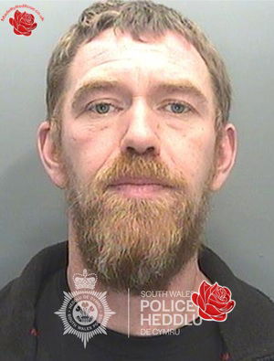 Jamie Bartlett – profile image