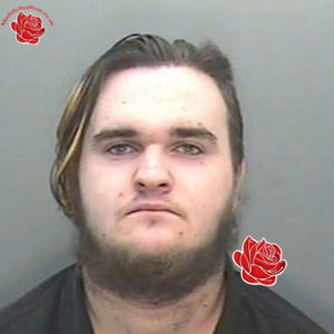 Matthew Medland – profile image