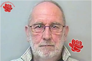 Robin Mellor – profile image