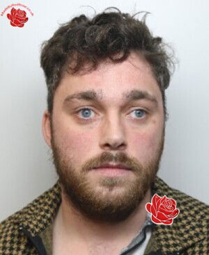 Daniel Sneddon – profile image
