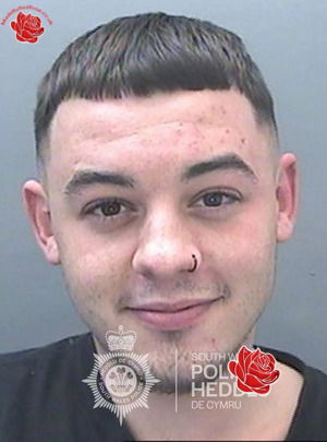 Joshua Harries – profile image