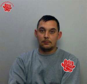 Christopher Tooze – profile image