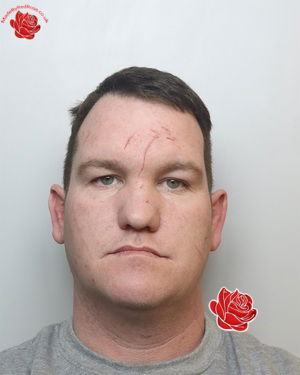 Donald Raymond – profile image