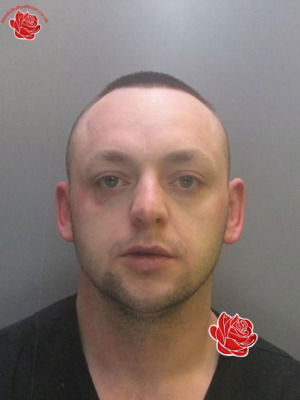 Mark Newton – profile image