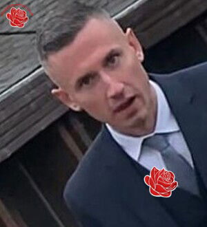 Mark Robertson – profile image