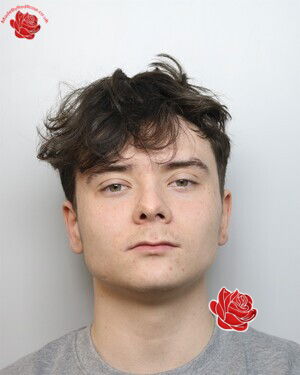 Harry Dobson – profile image