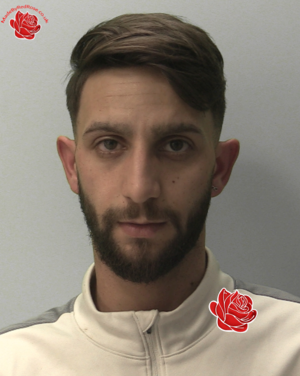 Nikolay Nikolov – profile image
