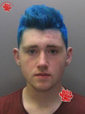 Bradley Hall – profile image