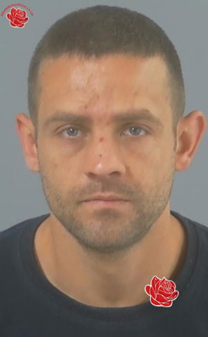 Nathan Savory – profile image