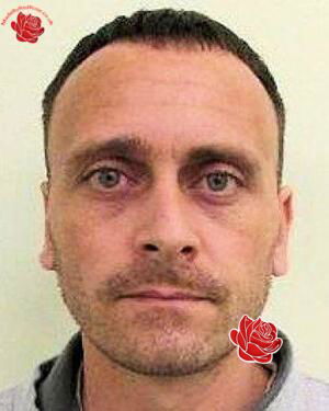 Stephen Agate – profile image