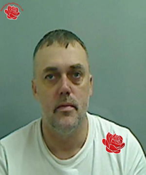 Ian Davison – profile image