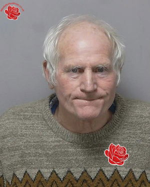 Shaun Healy – profile image