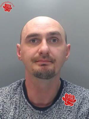David Greaves – profile image