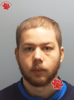 Tommy Back – profile image